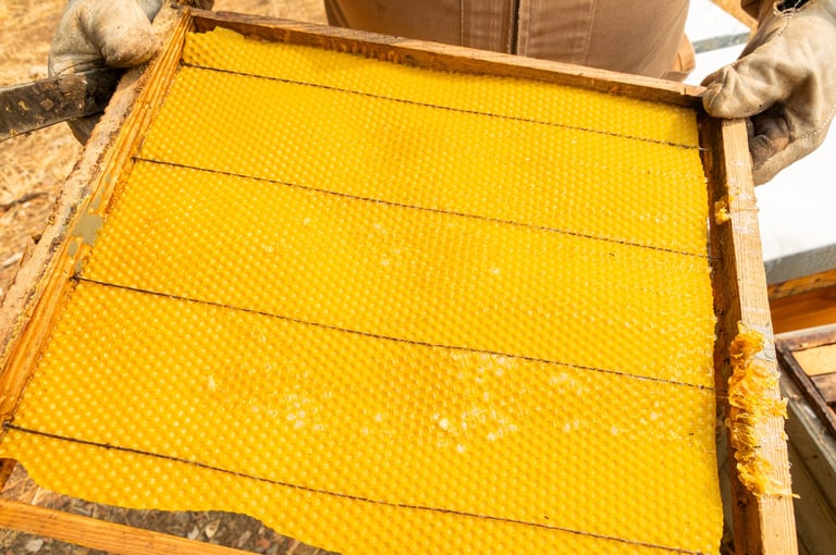 Foundation frame with stamped wax